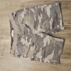 Hudson and Barrow Shorts 33